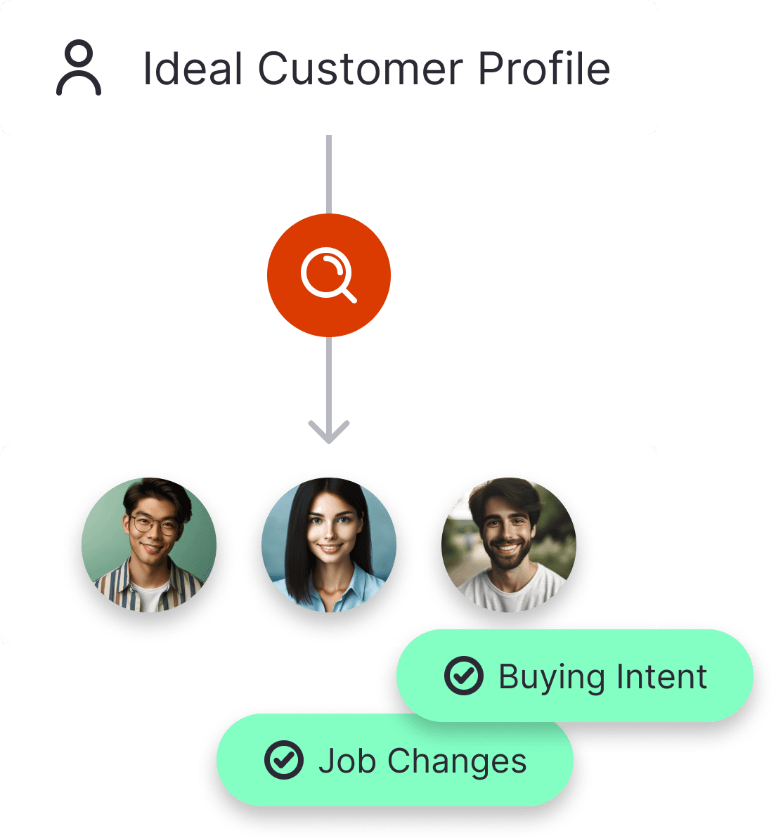 Identify ideal customer profiles
